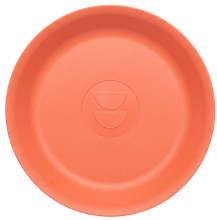 Picture of One Dozen Reusable Plates